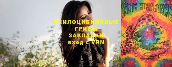mdpv Куйбышев