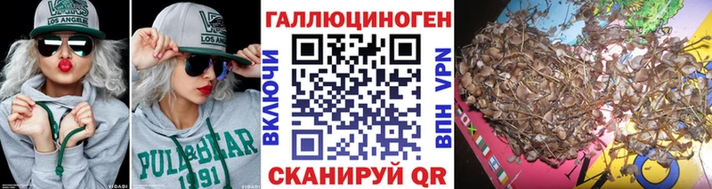 Галлюциногенные грибы GOLDEN TEACHER  Купить  Армавир 
